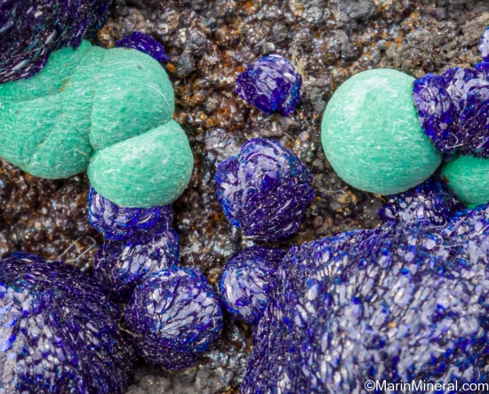 Azurite with Malachite from Bisbee, Cochise Co., Arizona, USA [db_pics/pics/ST185d.jpg]