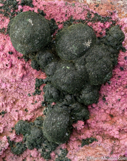 Kolwezite on Cobaltian Calcite from Kolwezi Mining District, Lualaba, DR Congo [db_pics/pics/ST199c.jpg]