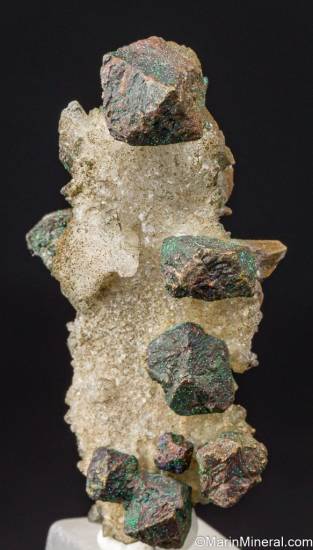 Bornite from Mine 57, Dzhezkazgan, Kazakhstan [db_pics/pics/ST212a.jpg]