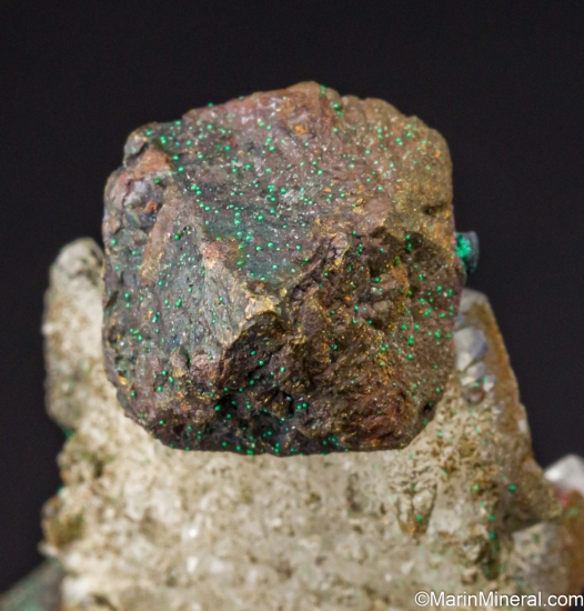 Bornite from Mine 57, Dzhezkazgan, Kazakhstan [db_pics/pics/ST212f.jpg]