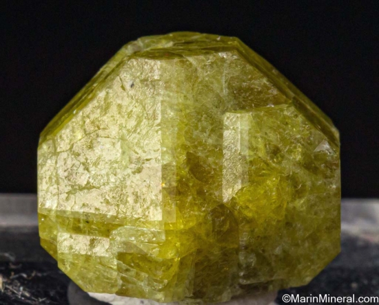 Vesuvianite from Ludwig Mine, Yerrington District, Lyon Co., Nevada, USA [db_pics/pics/ST231a.jpg]