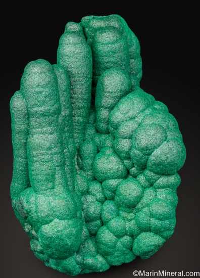 Malachite stalactites from Kolwezi Mining District, Lualaba, DR Congo [db_pics/pics/ST236a.jpg]