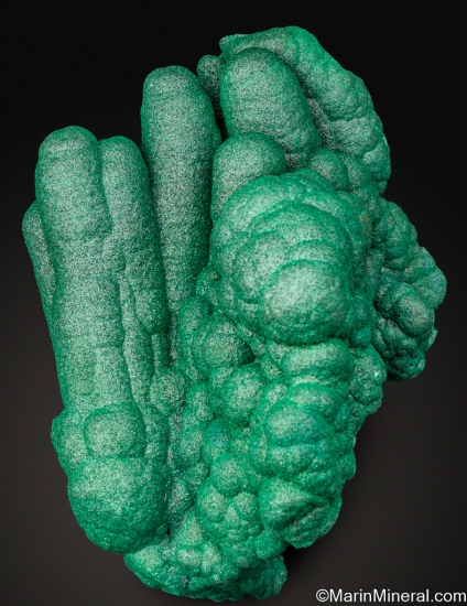 Malachite stalactites from Kolwezi Mining District, Lualaba, DR Congo [db_pics/pics/ST236b.jpg]