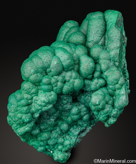 Malachite stalactites from Kolwezi Mining District, Lualaba, DR Congo [db_pics/pics/ST236c.jpg]