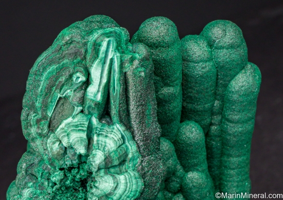 Malachite stalactites from Kolwezi Mining District, Lualaba, DR Congo [db_pics/pics/ST236d.jpg]