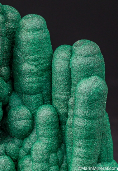 Malachite stalactites from Kolwezi Mining District, Lualaba, DR Congo [db_pics/pics/ST236f.jpg]