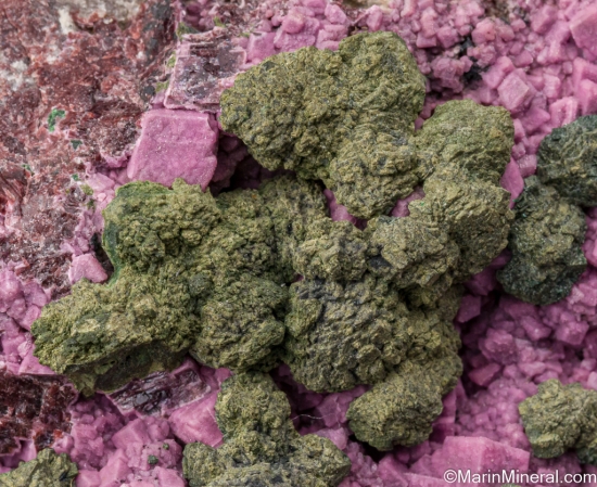 Kolwezite after Cuprite on Cobaltian Calcite from Kolwezi Mining District, Lualaba, DR Congo [db_pics/pics/ST238c.jpg]