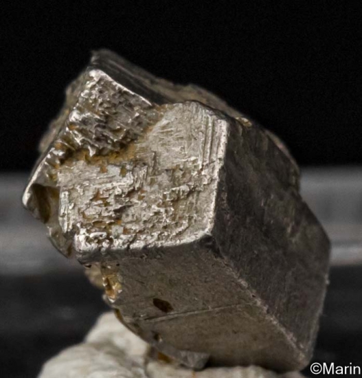 Platinum from Konder, Ayan-Maya district, Khabarovsk Region, Russia [db_pics/pics/ST246c.jpg]