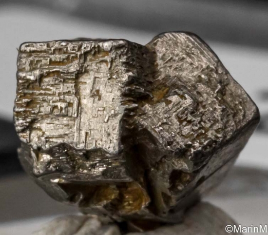 Platinum from Konder, Ayan-Maya district, Khabarovsk Region, Russia [db_pics/pics/ST246d.jpg]