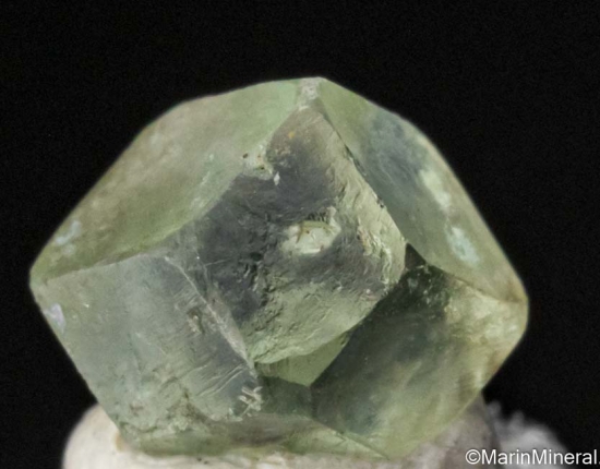 Boracite from Hohenfeld, Sehnde, near Lehrte, Saxony, Germany [db_pics/pics/ST248c.jpg]
