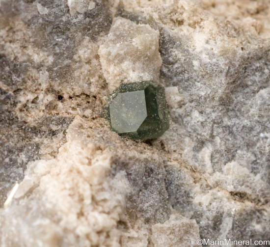 Boracite from Bernburg, Saxony, Germany [db_pics/pics/ST255c.jpg]