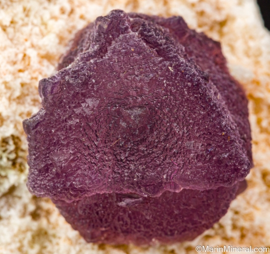 Fluorite from Mina La Lupita, near Rodeo, Durango, Mexico [db_pics/pics/ST267e.jpg]