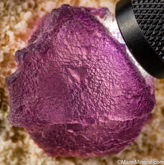 Fluorite from Mina La Lupita, near Rodeo, Durango, Mexico [db_pics/pics/ST267f.jpg]