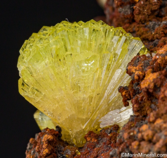 Adamite from Mina Ojuela, Mapimi, Durango, Mexico [db_pics/pics/ST270f.jpg]