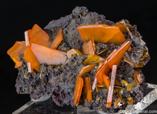 Wulfenite from Erupcion Mine, Los Lamentos, Chihuahua, Mexico [db_pics/pics/ST271b.jpg]