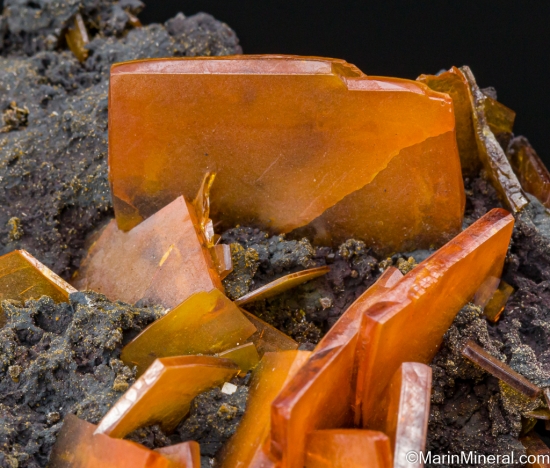 Wulfenite from Erupcion Mine, Los Lamentos, Chihuahua, Mexico [db_pics/pics/ST271c.jpg]