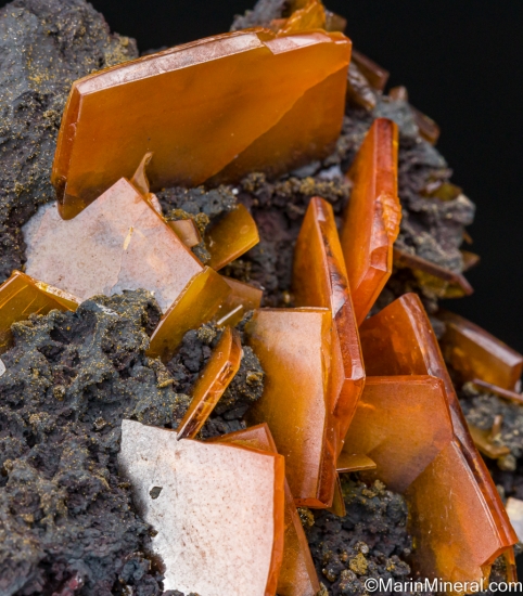 Wulfenite from Erupcion Mine, Los Lamentos, Chihuahua, Mexico [db_pics/pics/ST271e.jpg]