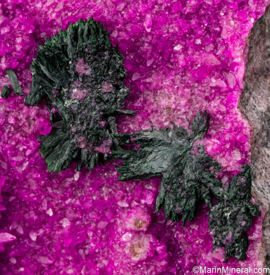 Malachite on Cobaltian Calcite from Kolwezi Mining District, Lualaba, DR Congo [db_pics/pics/ST379c.jpg]