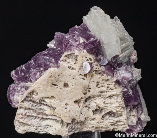 Lepidolite, Albite on Orthoclase from Himalaya Mine, Mesa Grande, San Diego Co., California, USA [db_pics/pics/ST403a.jpg]