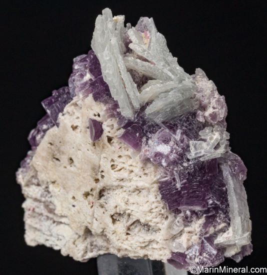 Lepidolite, Albite on Orthoclase from Himalaya Mine, Mesa Grande, San Diego Co., California, USA [db_pics/pics/ST403b.jpg]