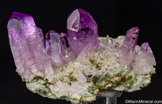 Amethyst from Las Vigas, Veracruz, Mexico [db_pics/pics/ST405b.jpg]