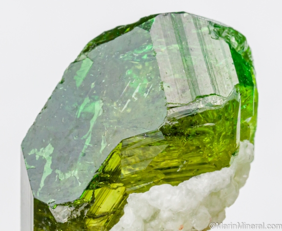 Dravite from Landanai, Simanjiro District, Manyara Region, Tanzania [db_pics/pics/ST431c.jpg]