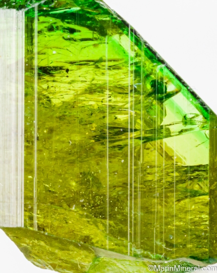 Dravite from Landanai, Simanjiro District, Manyara Region, Tanzania [db_pics/pics/ST431d.jpg]