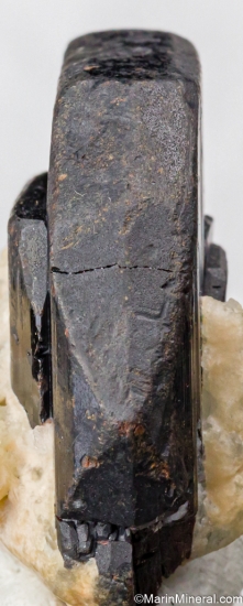 Tantalite from Kunar, Afghanistan [db_pics/pics/ST552d.jpg]