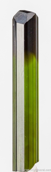 Tourmaline from St. Anne's Mine, Miami, Karoi District, Zimbabwe [db_pics/pics/ST553a.jpg]