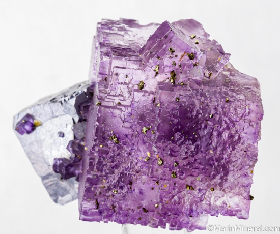 Fluorite with Galena from Minerva Mine, Cave-in-Rock, Hardin Co., Illinois, USA [db_pics/pics/ST557b.jpg]