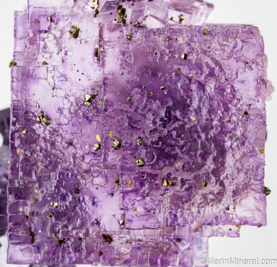 Fluorite with Galena from Minerva Mine, Cave-in-Rock, Hardin Co., Illinois, USA [db_pics/pics/ST557f.jpg]