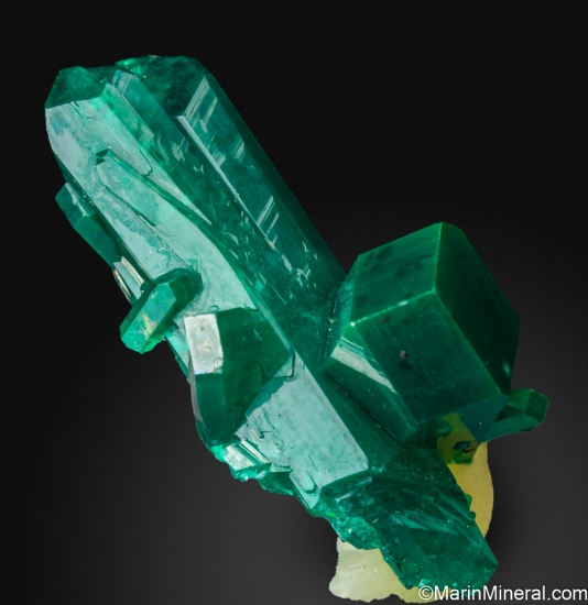 Dioptase from Mindouli District, Pool Department, Congo [db_pics/pics/ST560b.jpg]