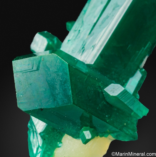 Dioptase from Mindouli District, Pool Department, Congo [db_pics/pics/ST560d.jpg]