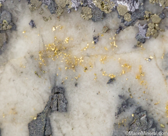 Gold from Sunnyside Mine, San Juan Co., colorado, USA [db_pics/pics/ST587d.jpg]
