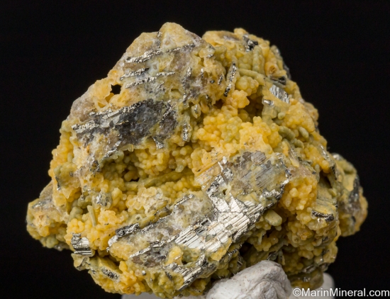 Calaverite, Chalcedony from Strong Mine, Cripple Creek Mining Dist., Colorado, USA [db_pics/pics/ST588b.jpg]