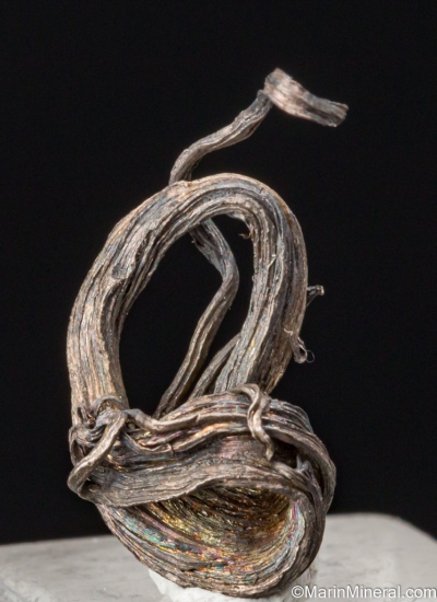 Silver from Aspen, Pitkin Co., Colorado, USA [db_pics/pics/ST591a.jpg]