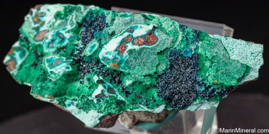 Cornetite on Malachite from Likasi Mine, Katanga, Dem. Rep. of Congo [db_pics/pics/ST653b.jpg]