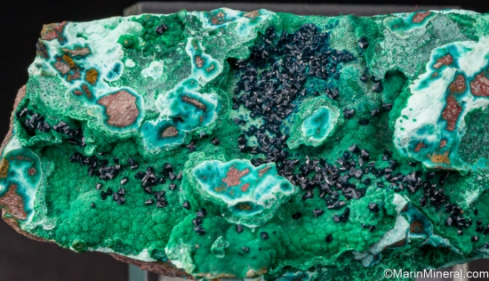 Cornetite on Malachite from Likasi Mine, Katanga, Dem. Rep. of Congo [db_pics/pics/ST653c.jpg]