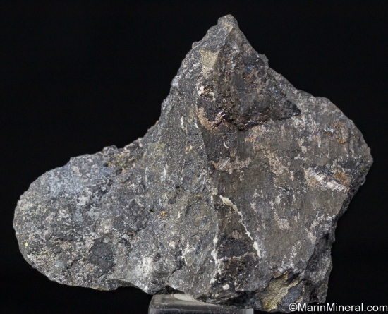 Petzite and Coloradoite from Golden Sunlight Mine, Whitehall Dist., Jefferson Co., Colorado, USA [db_pics/pics/ST658a.jpg]