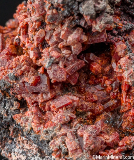 Durangite from Thomas Range, Juab Co., Utah, USA [db_pics/pics/ST674f.jpg]