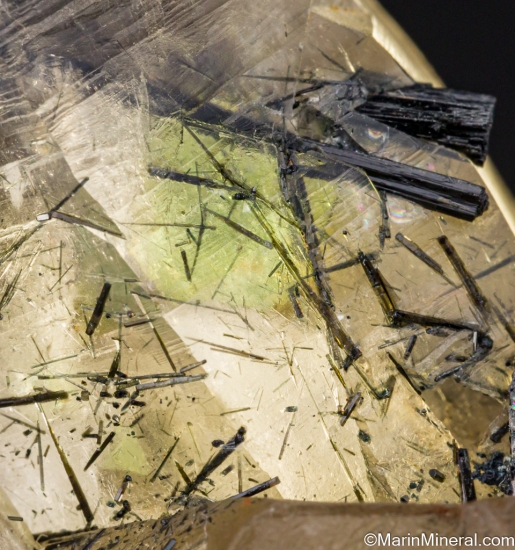 Fluorite in Quartz from Erongo Mtns., Namibia [db_pics/pics/ST681i.jpg]