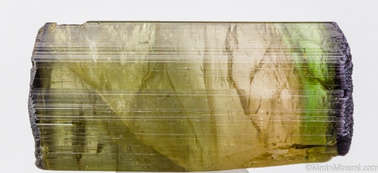 Tourmaline from Himalaya Mine, Mesa Grande, San diego Co., California, USA [db_pics/pics/ST684a.jpg]