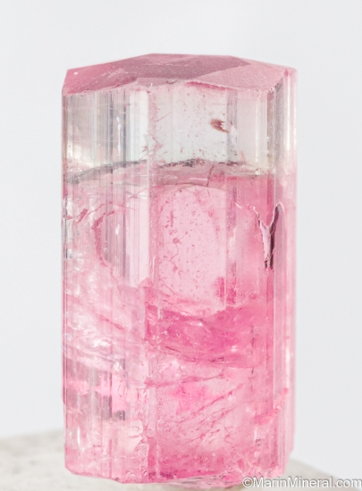 Tourmaline from Himalaya Mine, Mesa Grande, San diego Co., California, USA [db_pics/pics/ST693b.jpg]