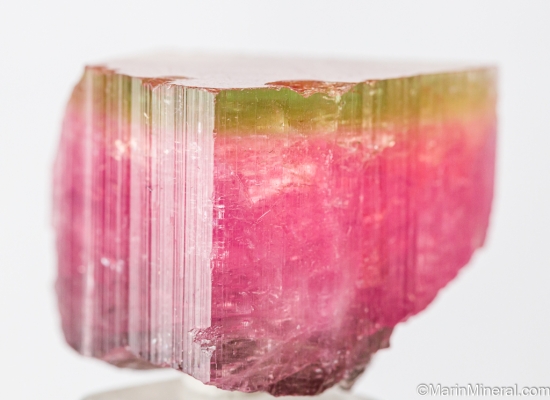 Tourmaline from Himalaya Mine, Mesa Grande, San diego Co., California, USA [db_pics/pics/ST694a.jpg]