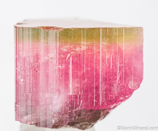 Tourmaline from Himalaya Mine, Mesa Grande, San diego Co., California, USA [db_pics/pics/ST694b.jpg]