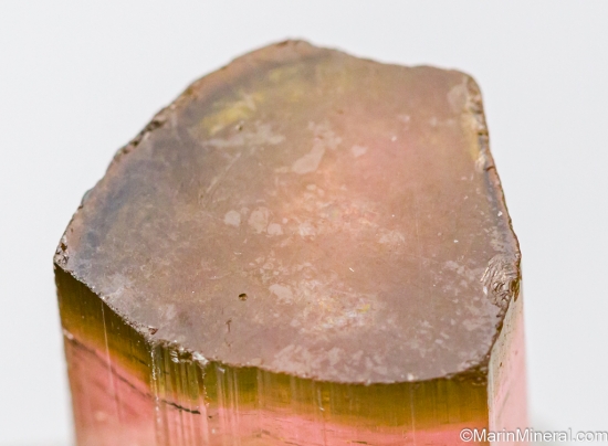 Tourmaline from Himalaya Mine, Mesa Grande, San diego Co., California, USA [db_pics/pics/ST695c.jpg]