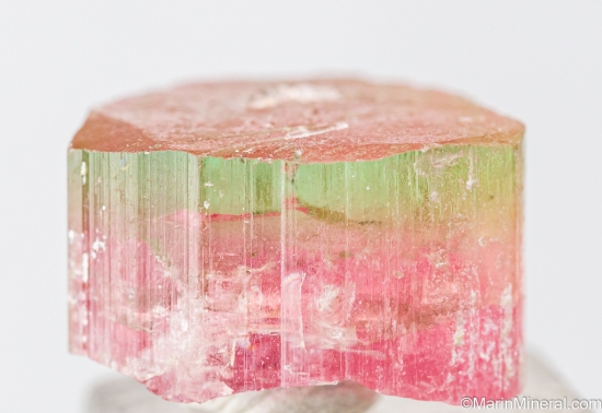 Tourmaline from Himalaya Mine, Mesa Grande, San diego Co., California, USA [db_pics/pics/ST697a.jpg]