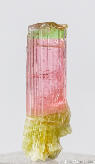 Tourmaline from Himalaya Mine, Mesa Grande, San diego Co., California, USA [db_pics/pics/ST702a.jpg]