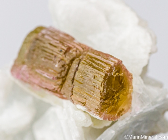 Tourmaline on Albite from Himalaya Mine, Mesa Grande, San Diego Co., California, USA [db_pics/pics/ST703c.jpg]