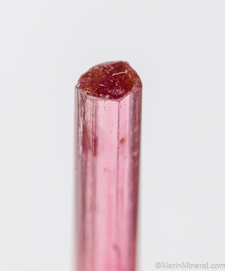 Tourmaline from Himalaya Mine, Mesa Grande, San Diego Co., California, USA [db_pics/pics/ST704c.jpg]
